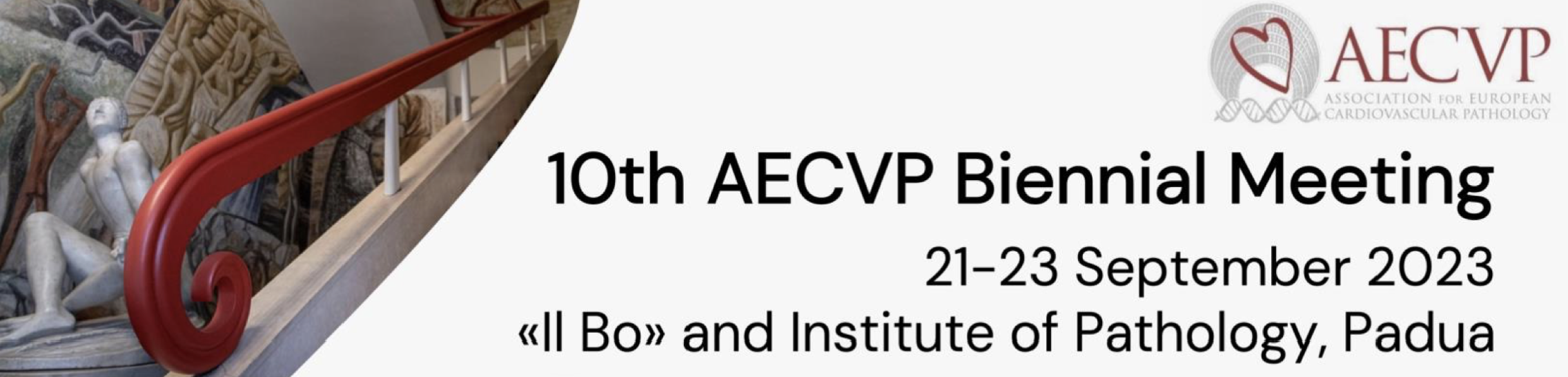 AECVP