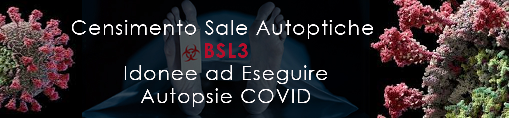 Sale Autoptiche BSL3